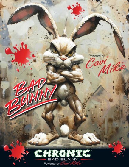 Bad Bunny