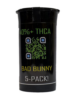 Bad Bunny Pack of 5