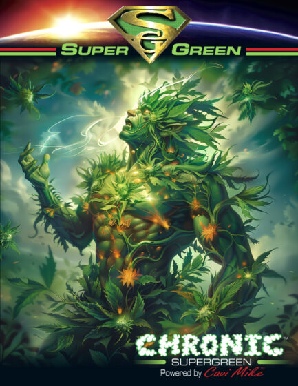 Super Green - Pack of 5 - Image 2