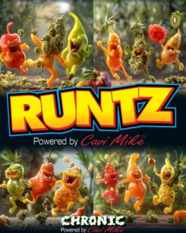 Runtz – Pack of 5