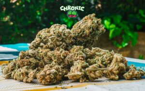 Read more about the article Get to Know More About CBD Weed