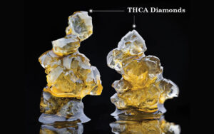 Read more about the article What are THCA Diamonds?