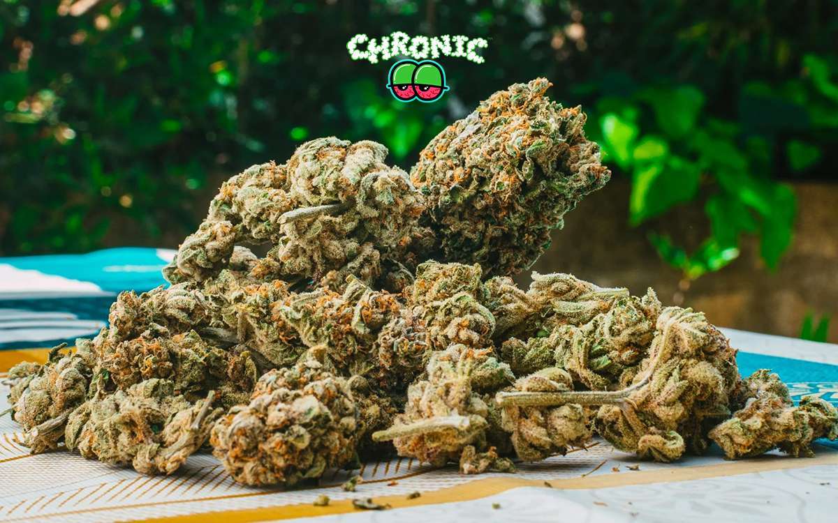 You are currently viewing Get to Know More About CBD Weed