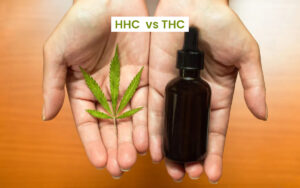 Read more about the article HHC vs THC