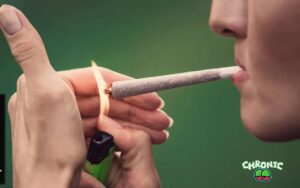 Read more about the article Can You Smoke CBD? Everything you need to know