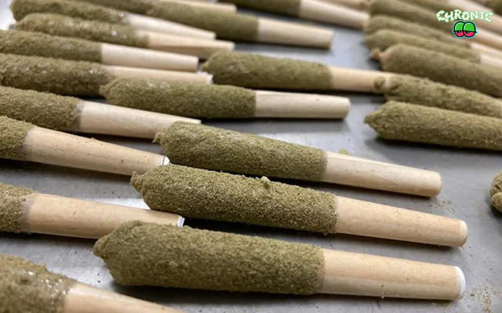 Infused Pre Rolls