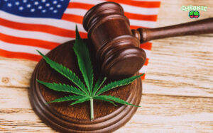 Read more about the article What is Legal High USA?