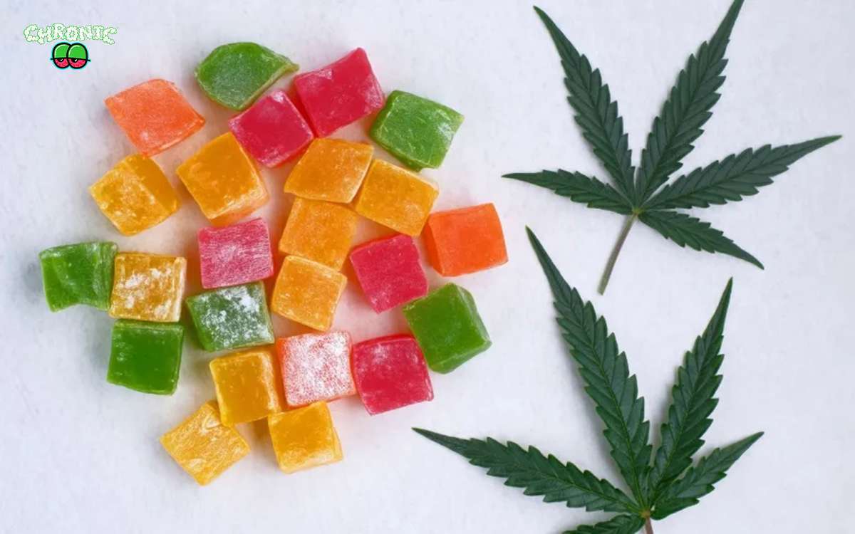 You are currently viewing Are THC Gummies legal in the USA?