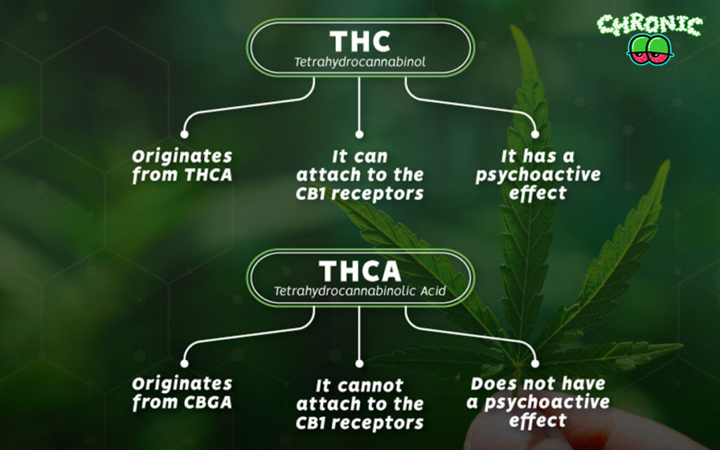 THCA vs THC