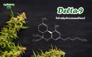 Read more about the article What is Delta-9? Its Effects & Legality