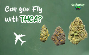 Read more about the article Can you Fly with THCA?