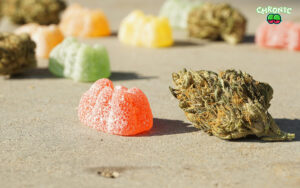 Read more about the article What are CBD Gummies? In Depth Guide