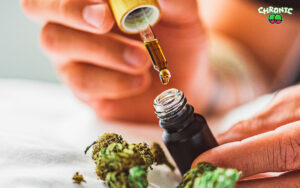 Read more about the article Is CBD Oil legal in the US? State by State Guide