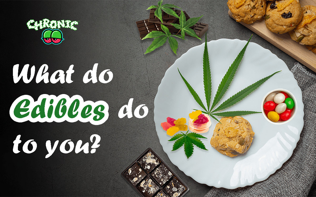 You are currently viewing What do Edibles do to you?