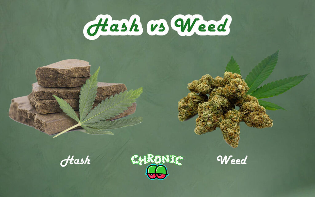 Hash vs Weed