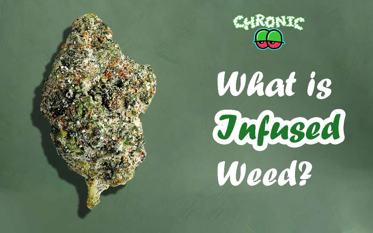 Read more about the article What is Infused Weed?