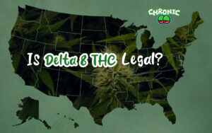 Read more about the article Is Delta-8 THC legal? State by State Guide