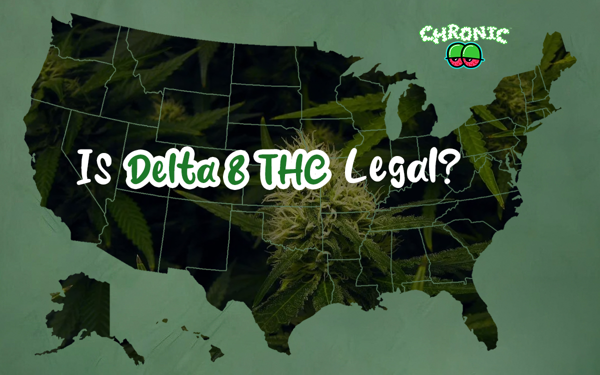 You are currently viewing Is Delta-8 THC legal? State by State Guide