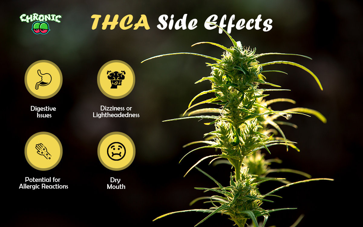 Read more about the article What are THCA Side Effects? Detail Guide