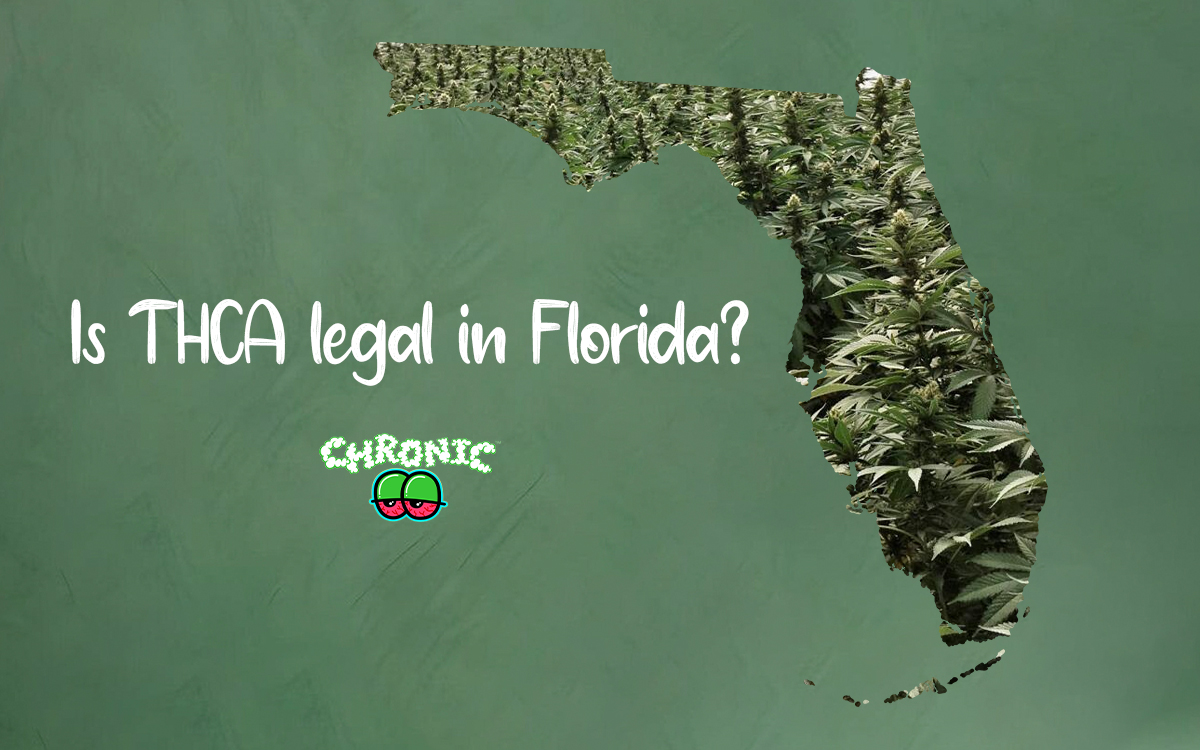 You are currently viewing Is THCA legal in Florida?