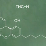 What is THC-H Exactly? Detail Explained