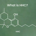 What is HHC? Everything you need to know