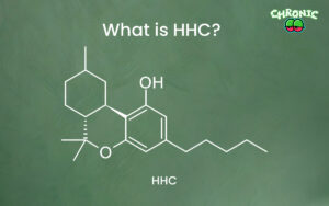 Read more about the article What is HHC? Everything you need to know