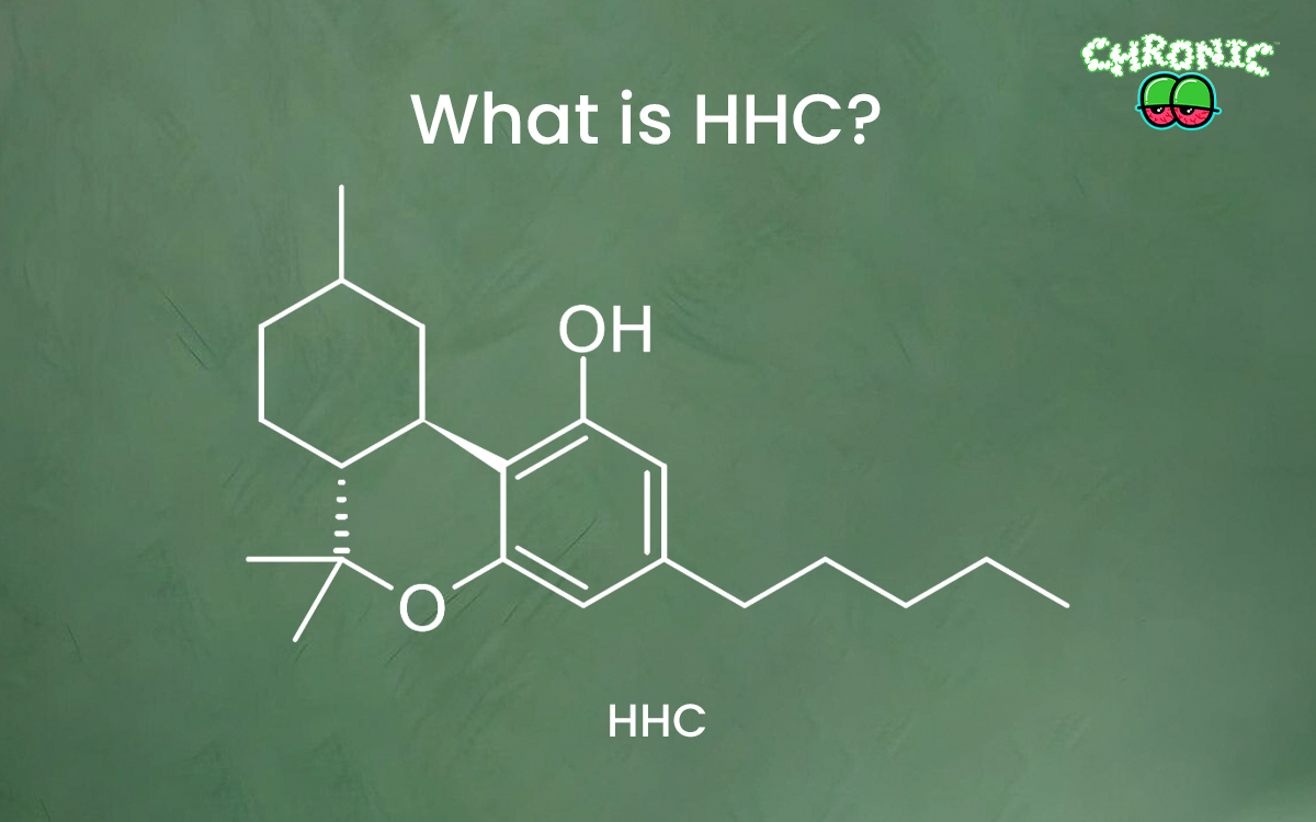 You are currently viewing What is HHC? Everything you need to know