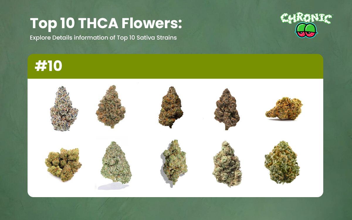 You are currently viewing Top 10 strongest THCA Flower